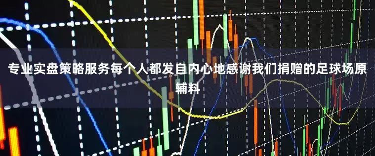 专业实盘策略服务每个人都发自内心地感谢我们捐赠的足球场原辅料