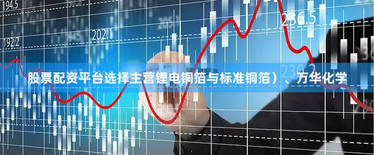 股票配资平台选择主营锂电铜箔与标准铜箔）、万华化学