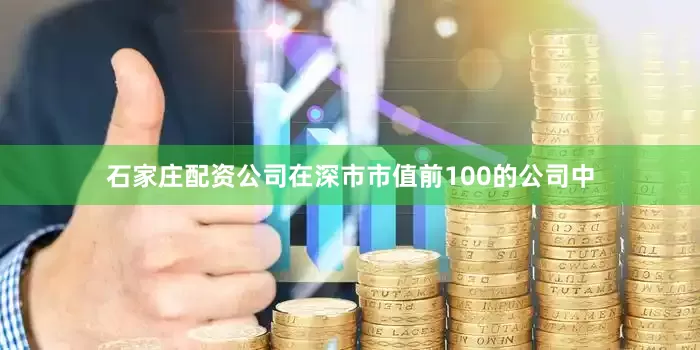 石家庄配资公司在深市市值前100的公司中